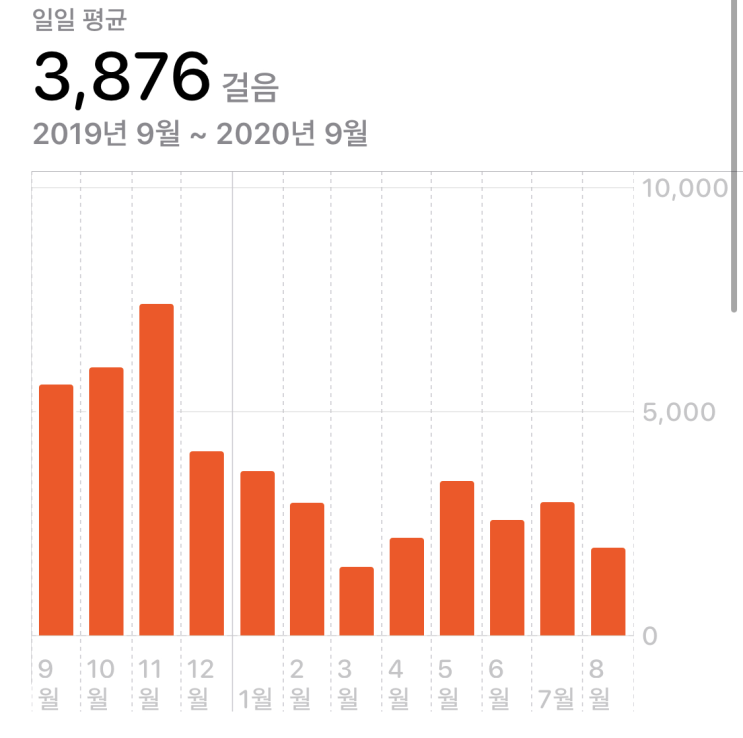 클로이팅 2주 복근 챌린지 후기 - 나도 해볼까?