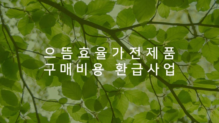  에너지효율1등급 환급신청 :: 가전제품 구매하고 환급받자!