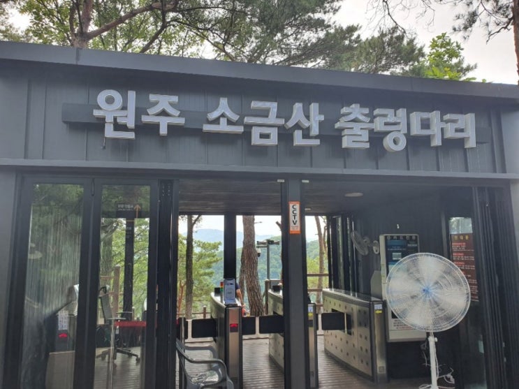  원주 소금산출렁다리