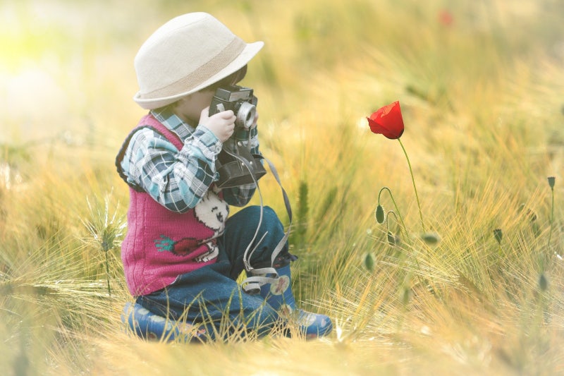 DSLR 카메라 입문 브랜드, 가격, 스팩 뭐가 좋을까?