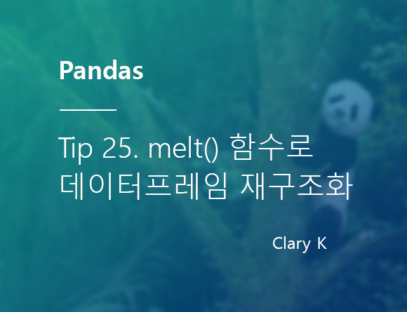 [파이썬] 판다스(pandas) 팁25. melt() 함수로 데이터프레임 재구조화하기