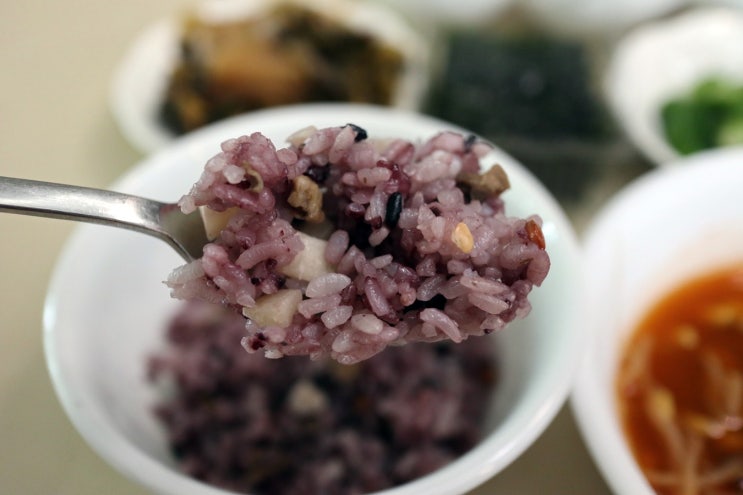 다이어트밥 굽네 로드닭 하프라이스 영양만점 즉석밥 추천