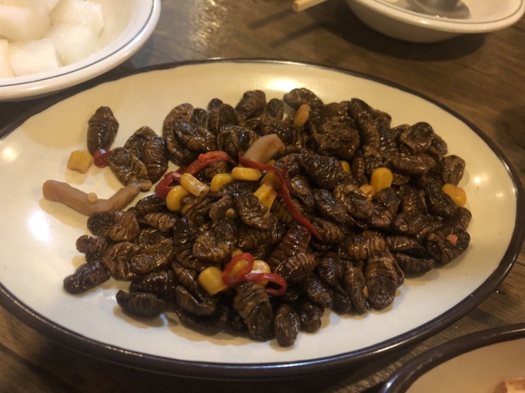  수원 도레미