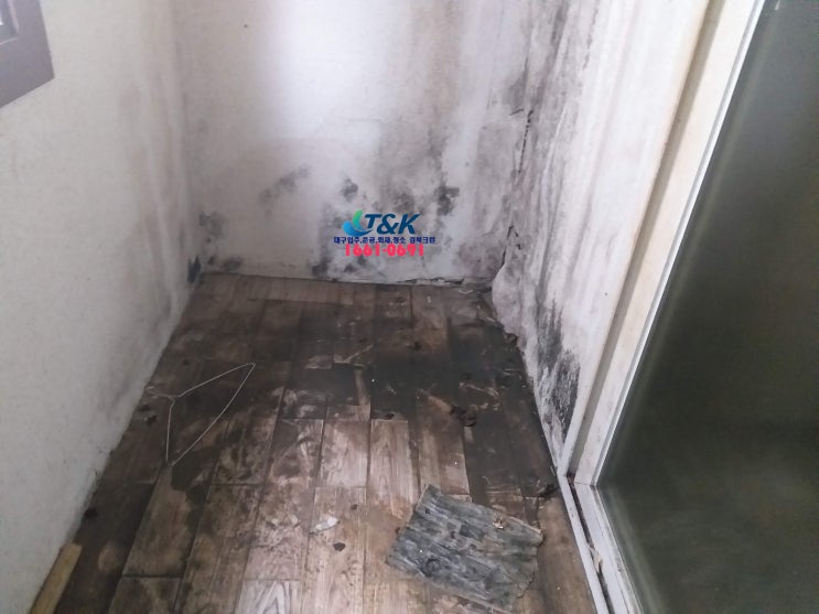  대구이사청소 업체 두류동 빌라 곰팡이 니코틴 청소