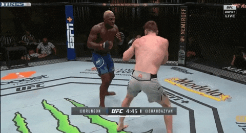 UFC 베가스 5: 브런슨 vs 셔바지언 피니쉬 영상(GIF) 및 뒷얘기