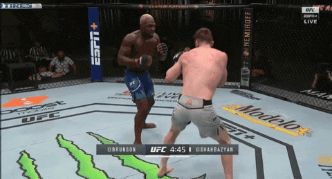 UFC 베가스 5: 브런슨 vs 셔바지언 피니쉬 영상(GIF) 및 뒷얘기 UFC 베가스 5: 브런슨 vs 셔바지언 피니쉬 영상(GIF) 및 뒷얘기