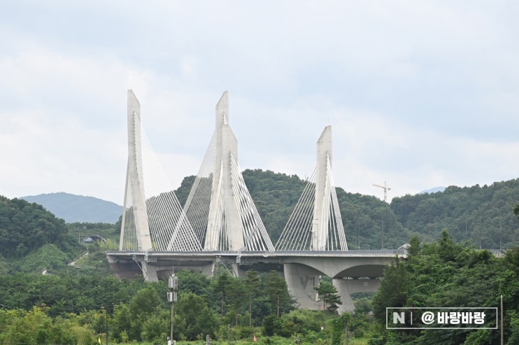  산책과 함께 달콤했던 주말 마무리
