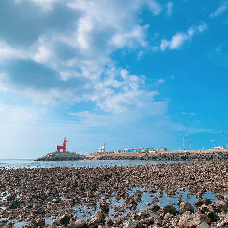 제주도 일주일살기 버킷리스트 이뤘어요 제주도 일주일살기 버킷리스트 이뤘어요