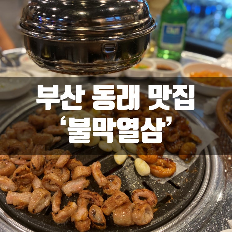  동래 불막열삼 막창 최고 맛집 인정