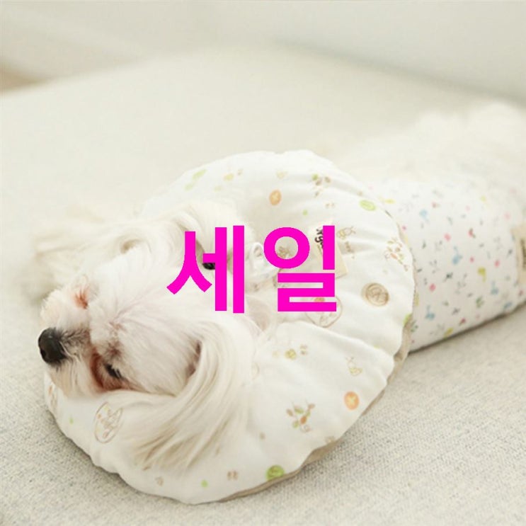 08월 02일자 인기상품 이츠독 오가닉 홈케어링 반려동물 넥카라 러브캣 M! 최저가 솔직후기 08월 02일자 인기상품 이츠독 오가닉 홈케어링 반려동물 넥카라 러브캣 M! 최저가 솔직후기
