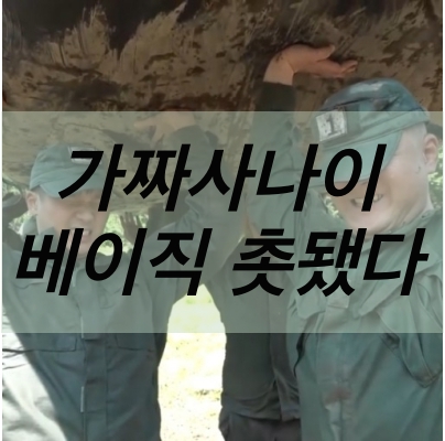  촛됐다 - 쇼미더머니4 우승자 베이식 (가짜 사나이OST)