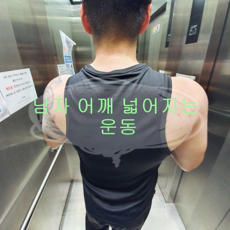  어깨 넓어지는 운동 - 덩치커지는 법이 답이다