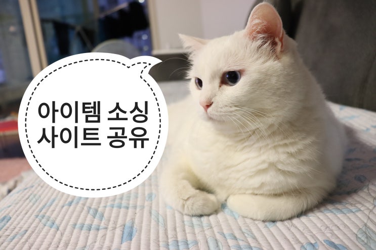  아이템 소싱에 도움이 되는 사이트(네이버 데이터랩, 아이템스카우트,셀퍼,키워드마스터,일헥타르,헬프스토어)