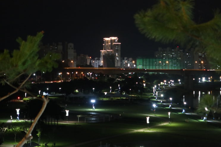  남양주 오로라베이커리 카페 한강뷰 야외 애견동반 가능