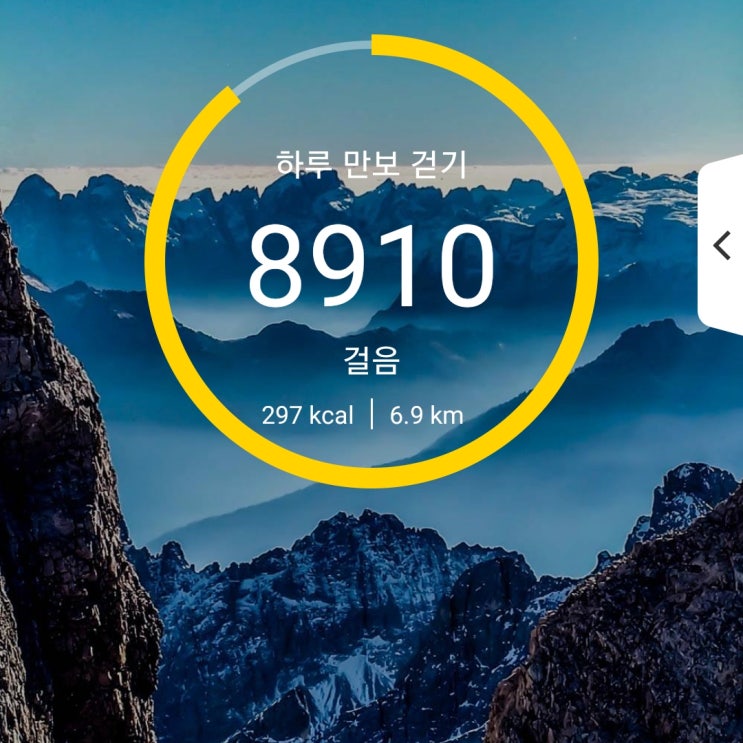  [건강프로젝트] 64일차 6000보 이상 걷기 성공