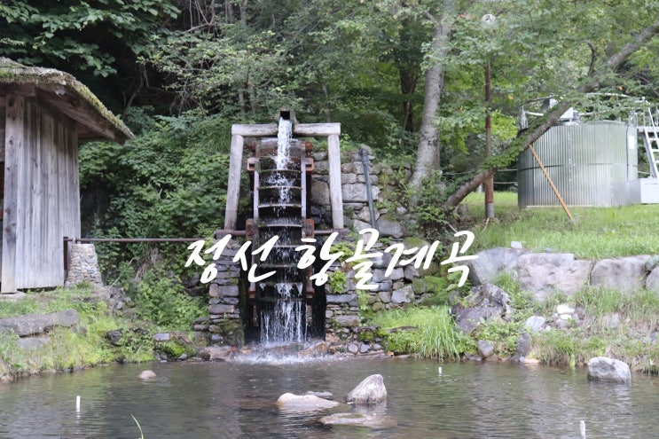  정선 항골계곡을 아시나요?