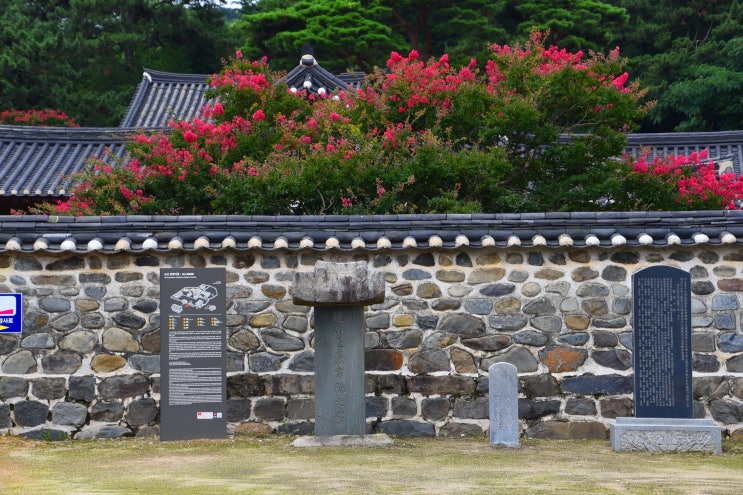  논산 언택트(Untact) 여행지 돈암서원의 핫한 여름
