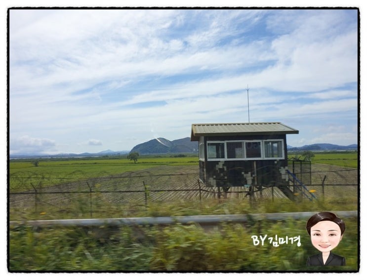  파주 갔다 오는 길에