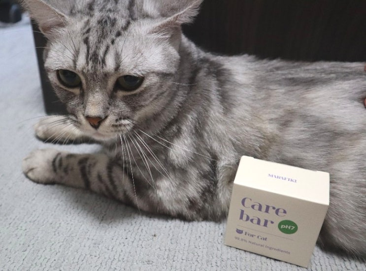  고양이 턱드름 비누 집사는 완전만족