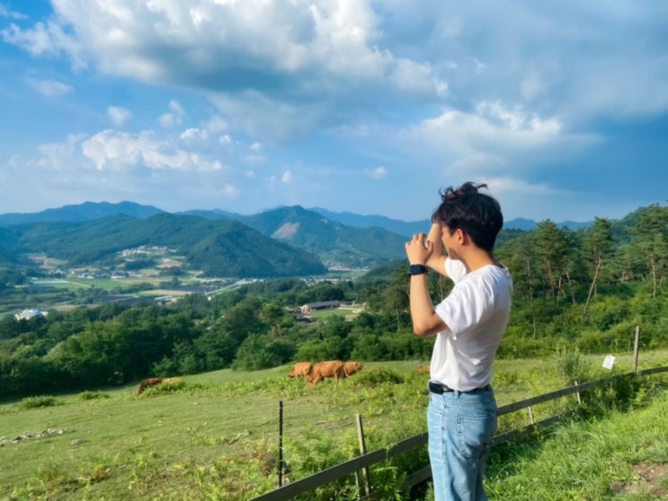  [춘천 여행 / 춘천 가볼만한 곳] 춘천 해피초원 목장