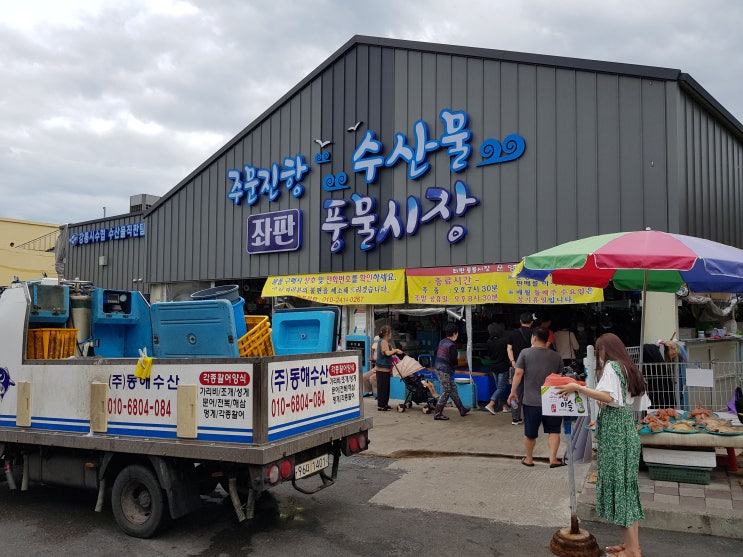  강릉 주문진 수산시장 호구 안되는 착한가격 회 먹는법