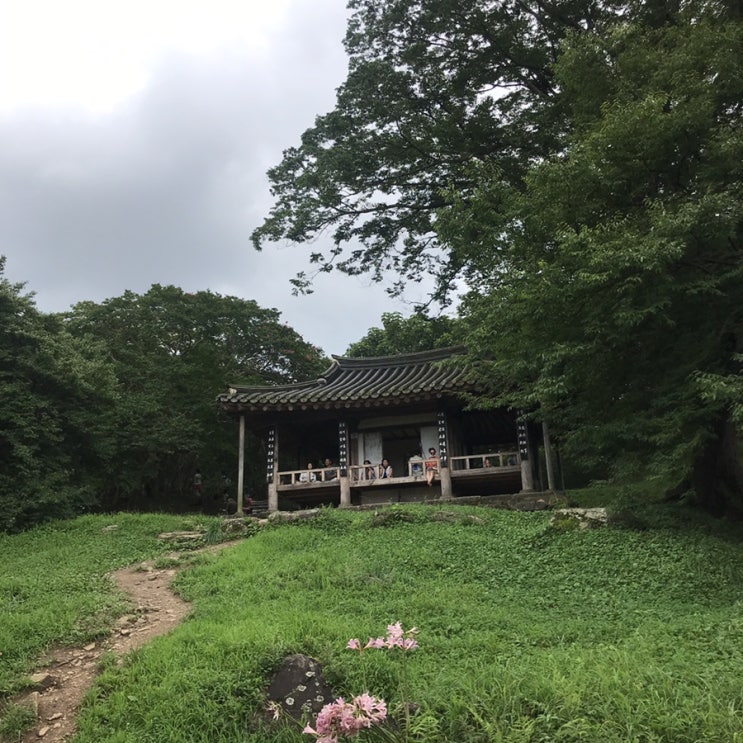  [담양여행] 담양볼거리, 담영명소 / 배롱나무꽃이 이쁜 '명옥헌원림'