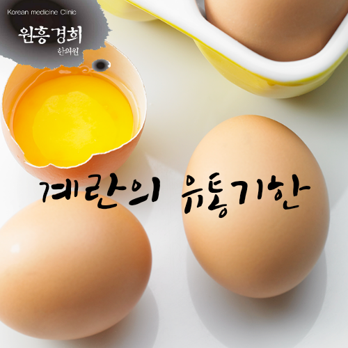  계란의 유통기한과 껍질 활용