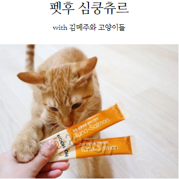  펫후 심쿵츄르, 김메주와 고양이들 구독자이벤트 고양이간식이래요!