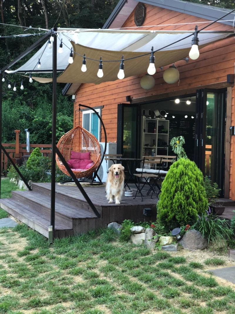 담양] 애견 운동장 포독 for dog ♥ྉ️ྉ : 네이버 블로그, image size:800x1067