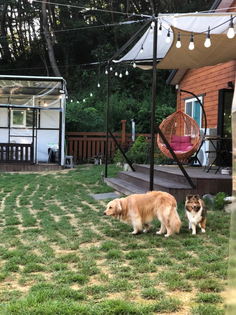 우디무디 | 𝐖𝐨𝐨𝐝𝐲𝐌𝐨𝐨𝐝𝐲 (@the_woodymoody) • Instagram photos and videos, image size:800x1067