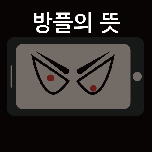 방플, 무슨 뜻 일까?