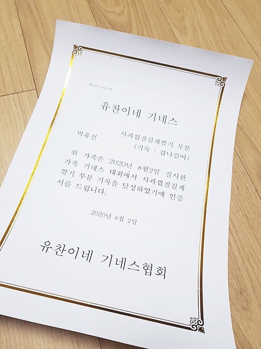 엄마표 놀이 ) 우리집 기네스북 기록하고 상주기