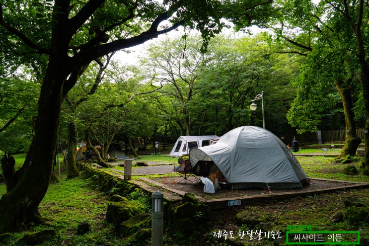  한라산 야영 캠핑 "관음사야영장" [제주도 한달살기 숙소 씨사이드 이든 추천]