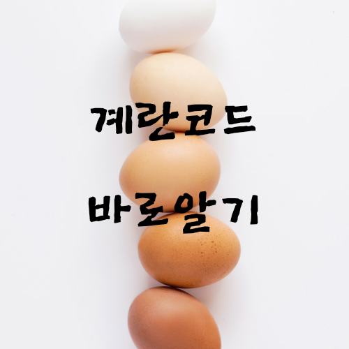  참! 쉬운 계란 코드 해석하기