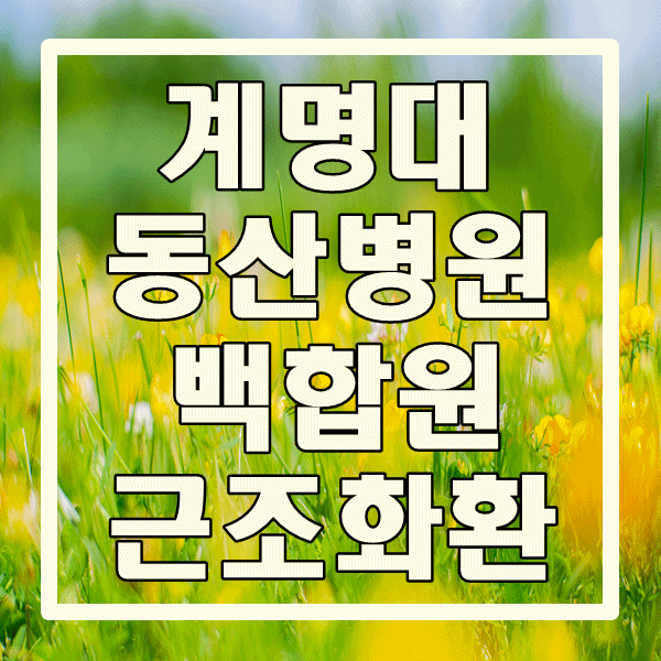 계명대학교 동산병원 백합원 근처 달서구 화환 꽃배달