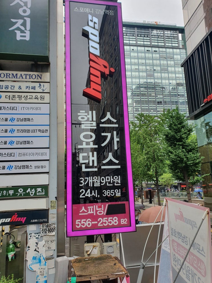  강남역점 스포애니 헬스장 프레스티지 20개월 등록, 가격은? / 허브보리 하루채움 영양쉐이크 구매 후기!
