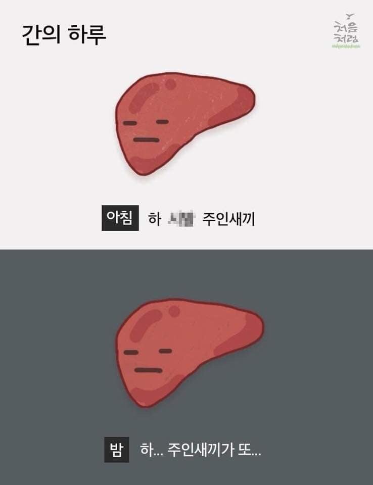 퓨어리서치 이미지