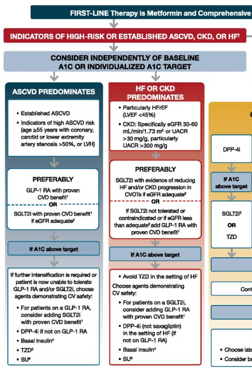 [Endocrinology] Indications of high-risk or established ASCVD, CKD, HF ...