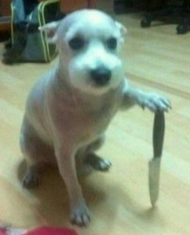  [거송마루] 마루샌딩.재밌는유머