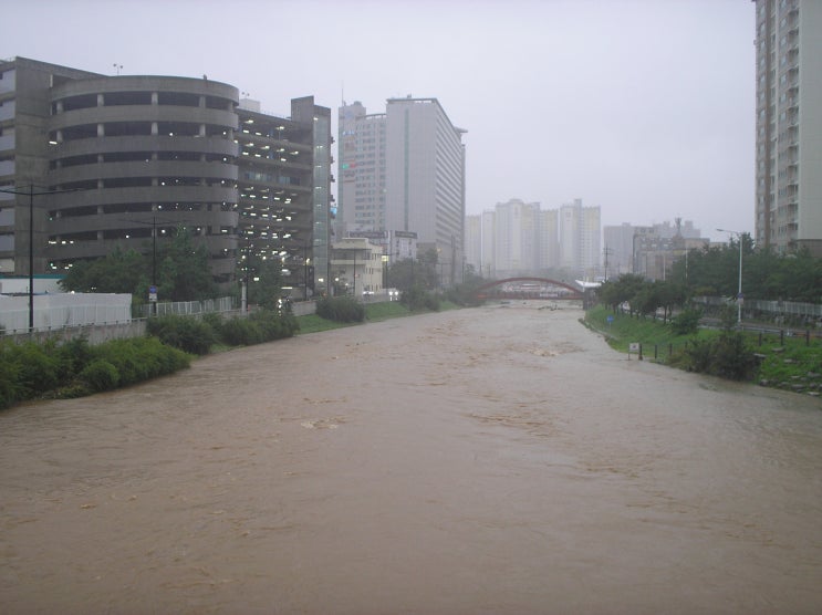  충청남도 천안시 폭우 상황(천안천 영상) (8.3.16:00 경)