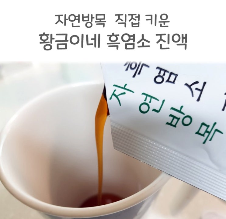  흑염소즙으로 내 건강은 내가 챙기기 (효능, 부작용)