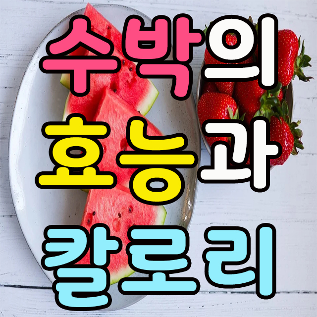  수박 효능 부작용 및 칼로리