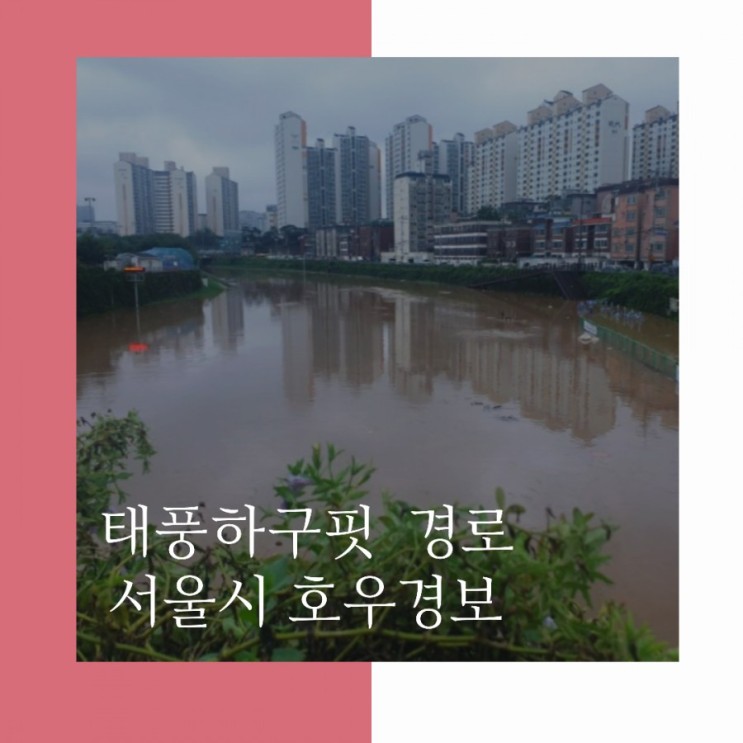 태풍 하구핏 경로,뜻,서울시 호우경보 발효