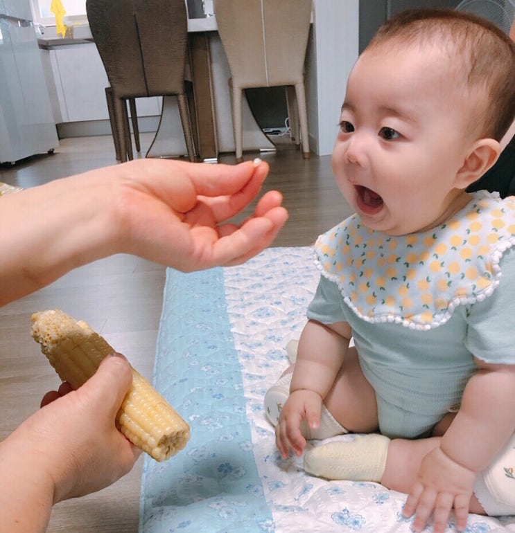  영월 카페 느리게 보리당고 강추