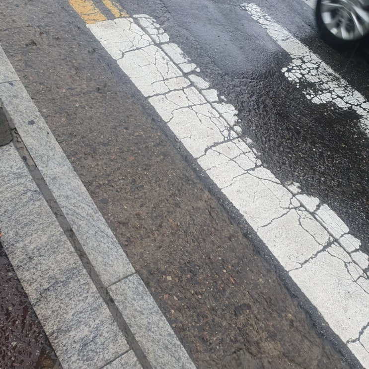  도로 조차 하천처럼 비가 흘러요