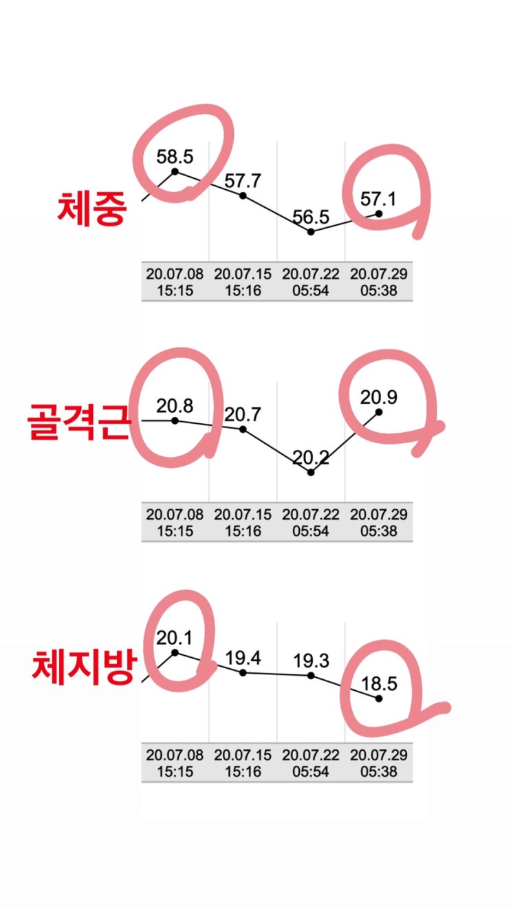  7/23-7/31 한달간의 다이어트 리뷰