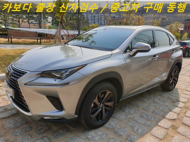  카보다-렉서스 NX300h 이그제큐티브 개인 직거래로 중고차 살때 정비사 구미 출장검수 및 중고차 구매동행 서비스