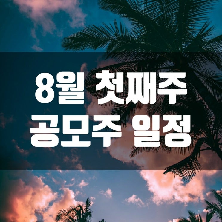  8월 첫째주 공모주 일정