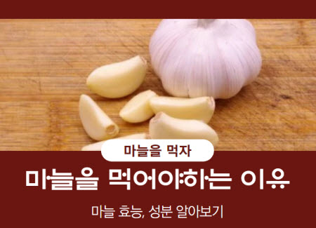  마늘을 먹어야 하는 이유, 마늘 효능 성분, 퇴행성 질환 예방 효과