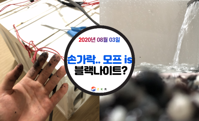  |ZKR| 주키퍼 렙타일 #인큐베이터 고치다 손가락 블랙나이트 되다.. (feat. 커먼 머스크 터틀 물갈이)